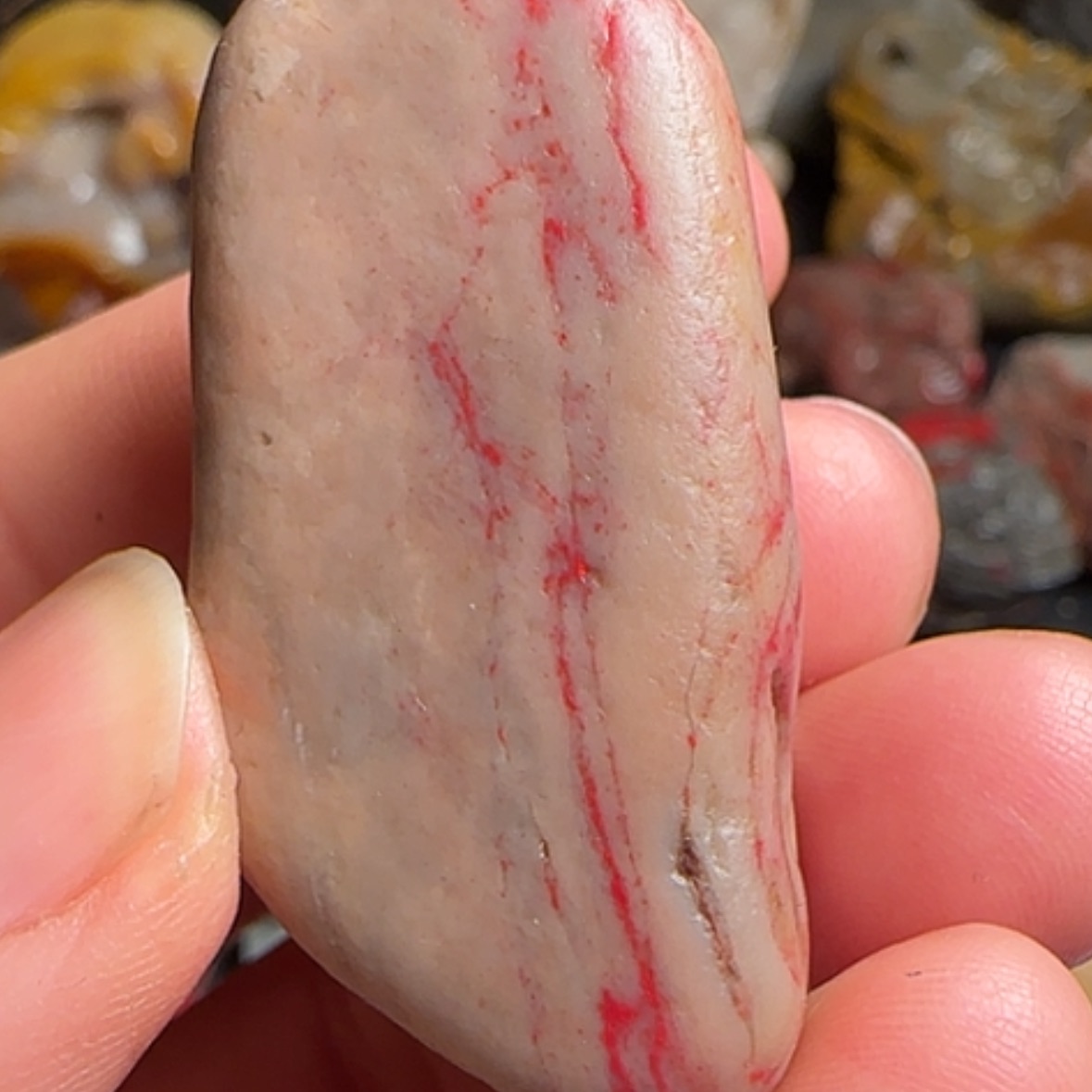 【闪购商品】昌化鸡血石用****8昌化鸡血石原石