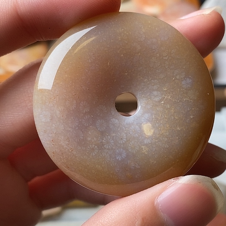 一***人硅化珊瑚未镶嵌颈饰