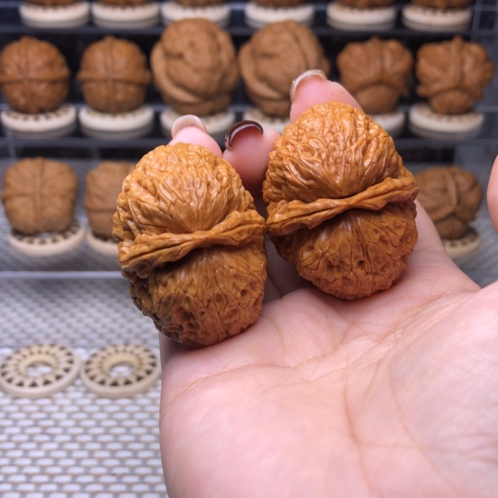 把件文玩核桃27号食蚁兽41尺