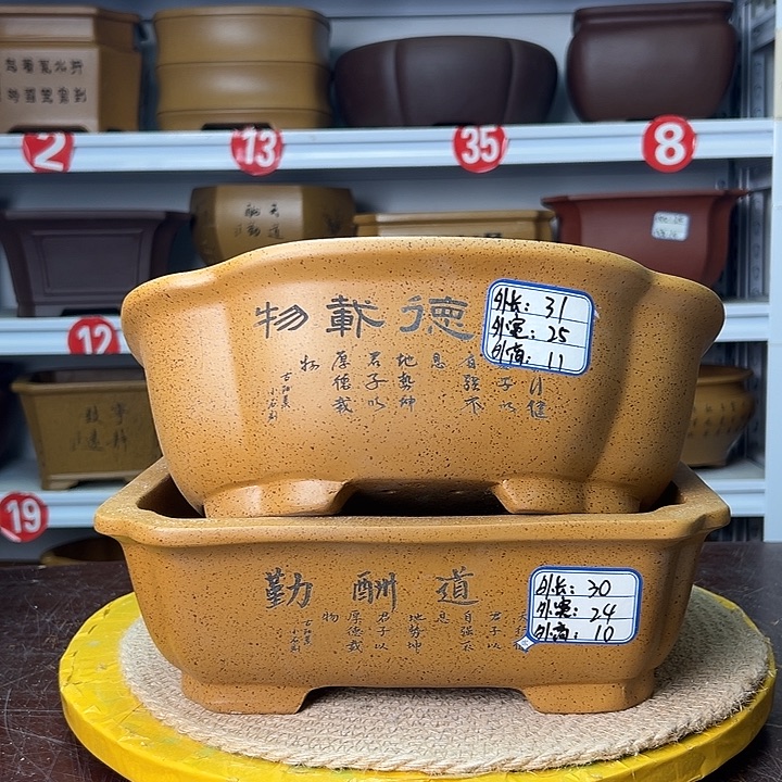 花盆紫砂蛇年大吉