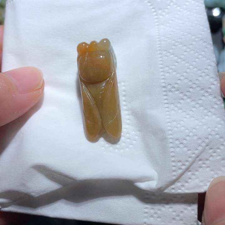 【闪购商品】翡翠颈饰未镶嵌天然翡翠