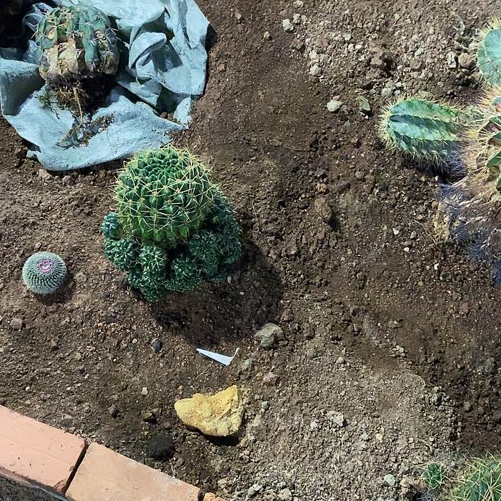 小**卜00000000000000000