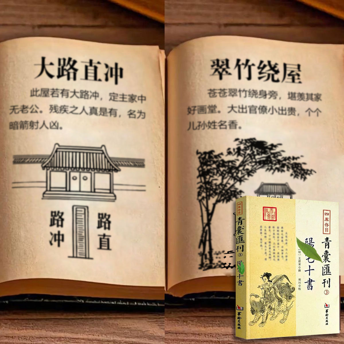【视频同款】图解住宅讲解经典好书，图解版好书推荐