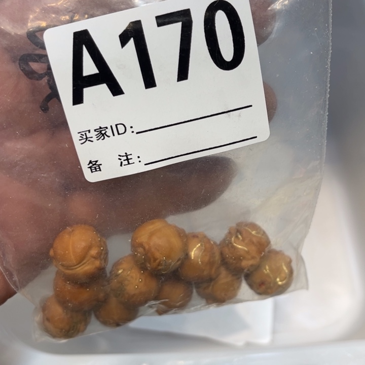 大果紫檀（缅甸花梨）猴头一包170