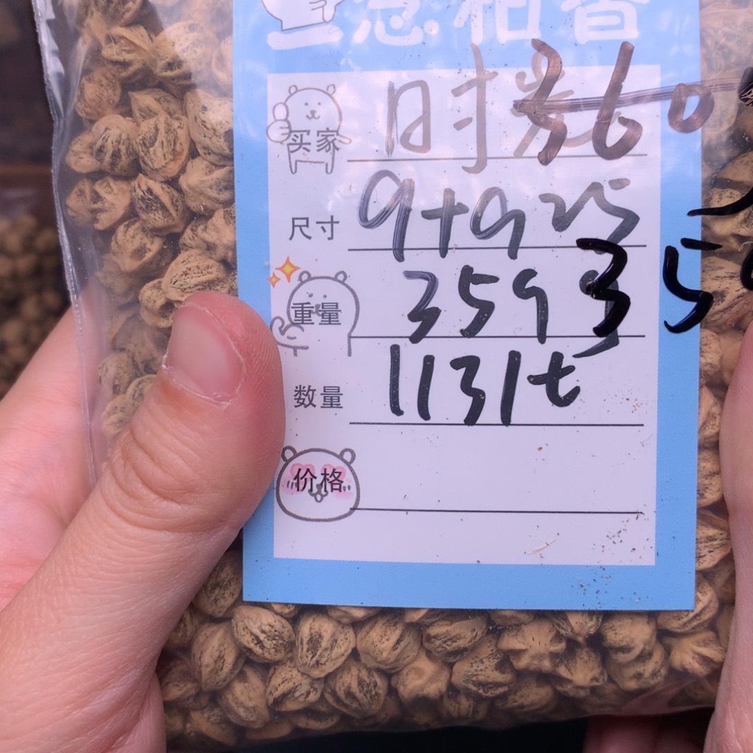 时***待柏香籽/百香籽吊坠
