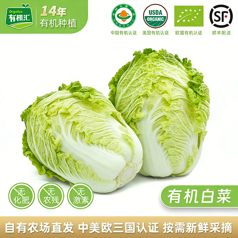 有机汇有机大白菜2颗5斤
