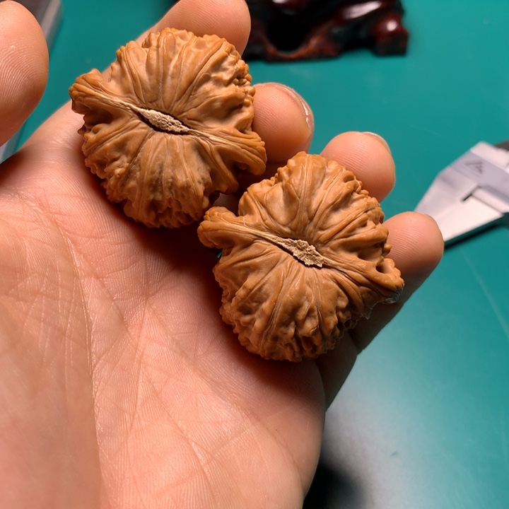 把件文玩核桃磁*应白狮子