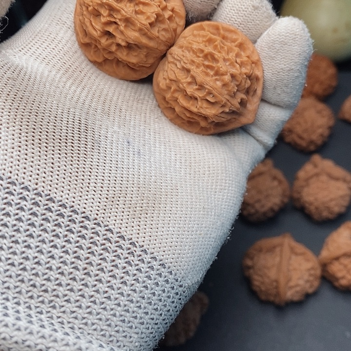 把件文玩核桃?***9秦岭野生金豆