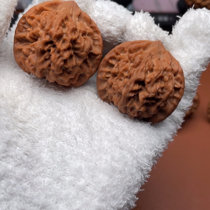 A***.秦核等人的故事也在这里展开