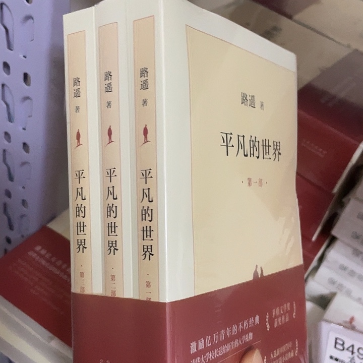 平凡的世界 平装带塑封