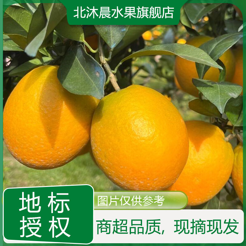 【顺丰/京东包邮】正宗赣南脐橙新鲜应季水果场地直发送开果器