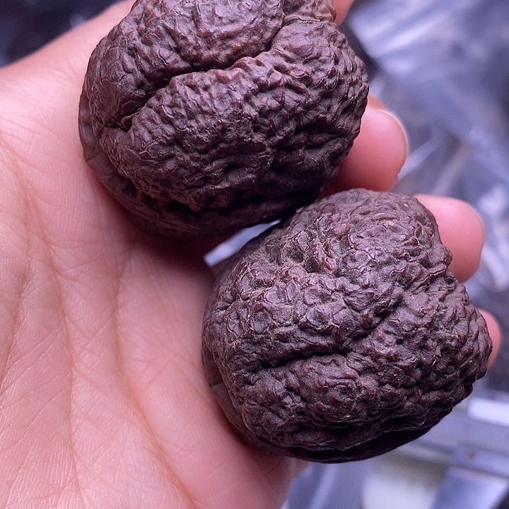 文玩核桃把件   122