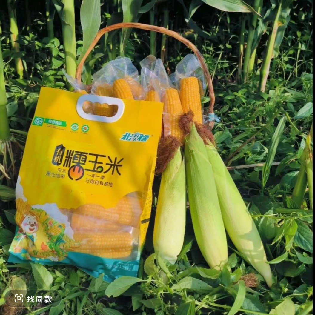 黑龙江头茬有机糯玉米棒子玉米棒东北绿色甜糯