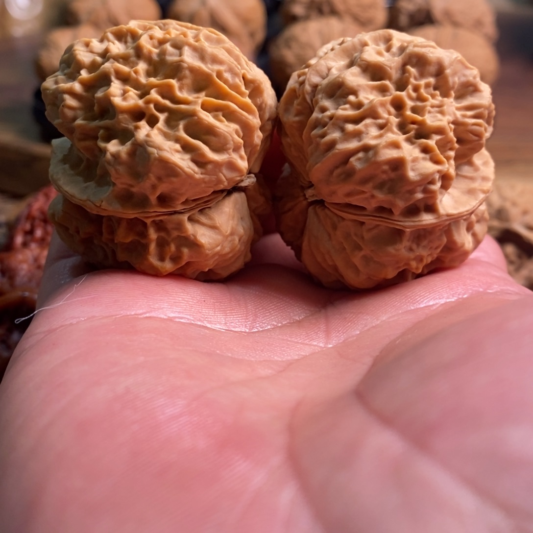 文玩核桃把件野狼蛤蟆头