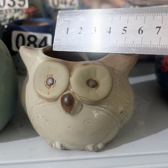 多肉植物花盆花盆