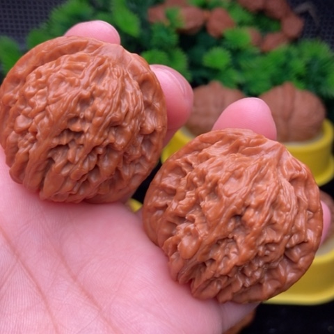 山地楼41全品11111