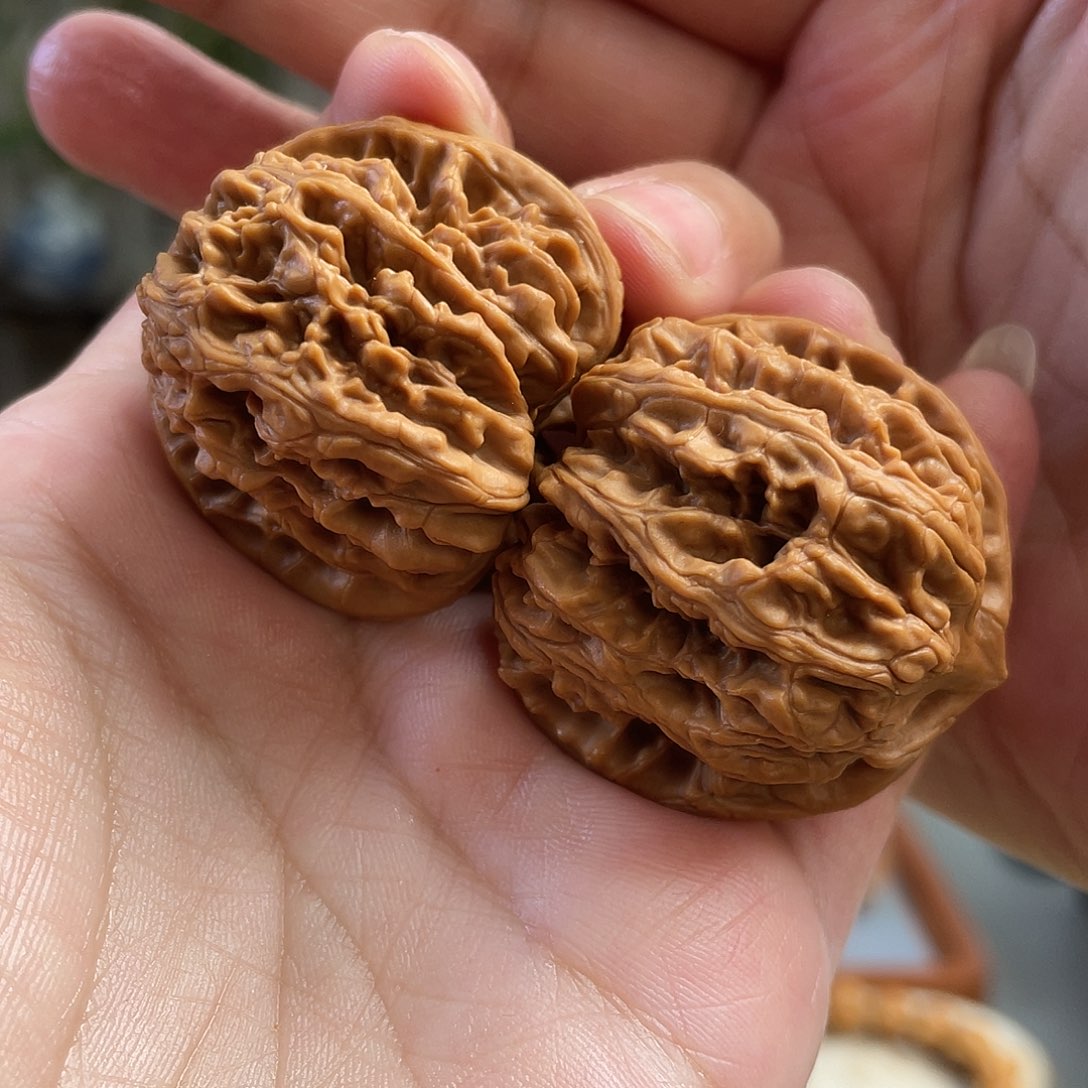 桃核把件37×38尺蓟县红马蹄CN01187已打底