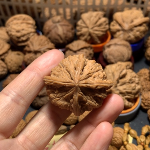 核桃?****～玉玺四棱一个