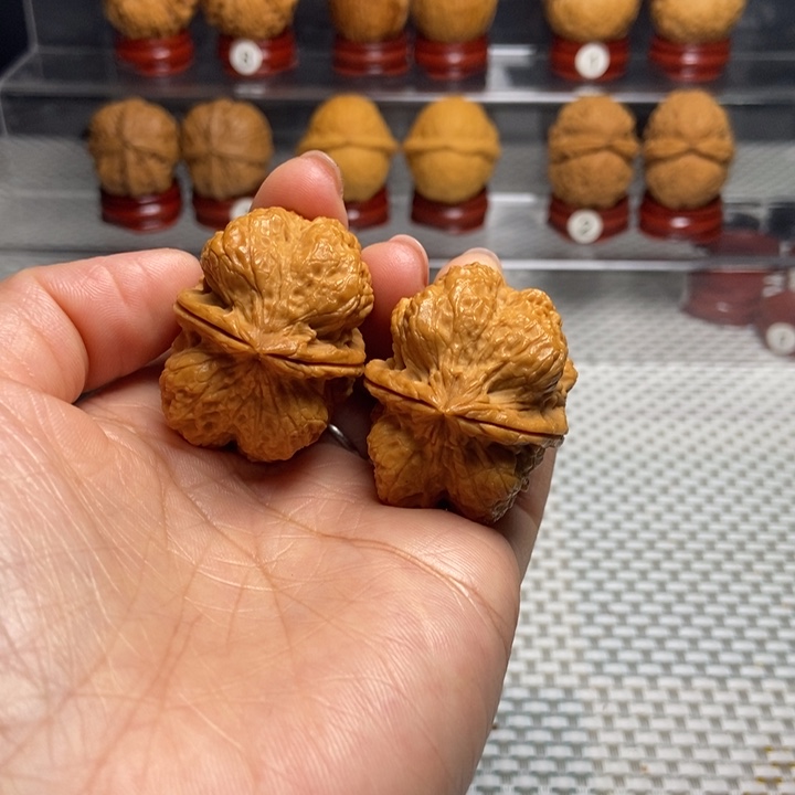 文玩核桃把件6霸王龙脊