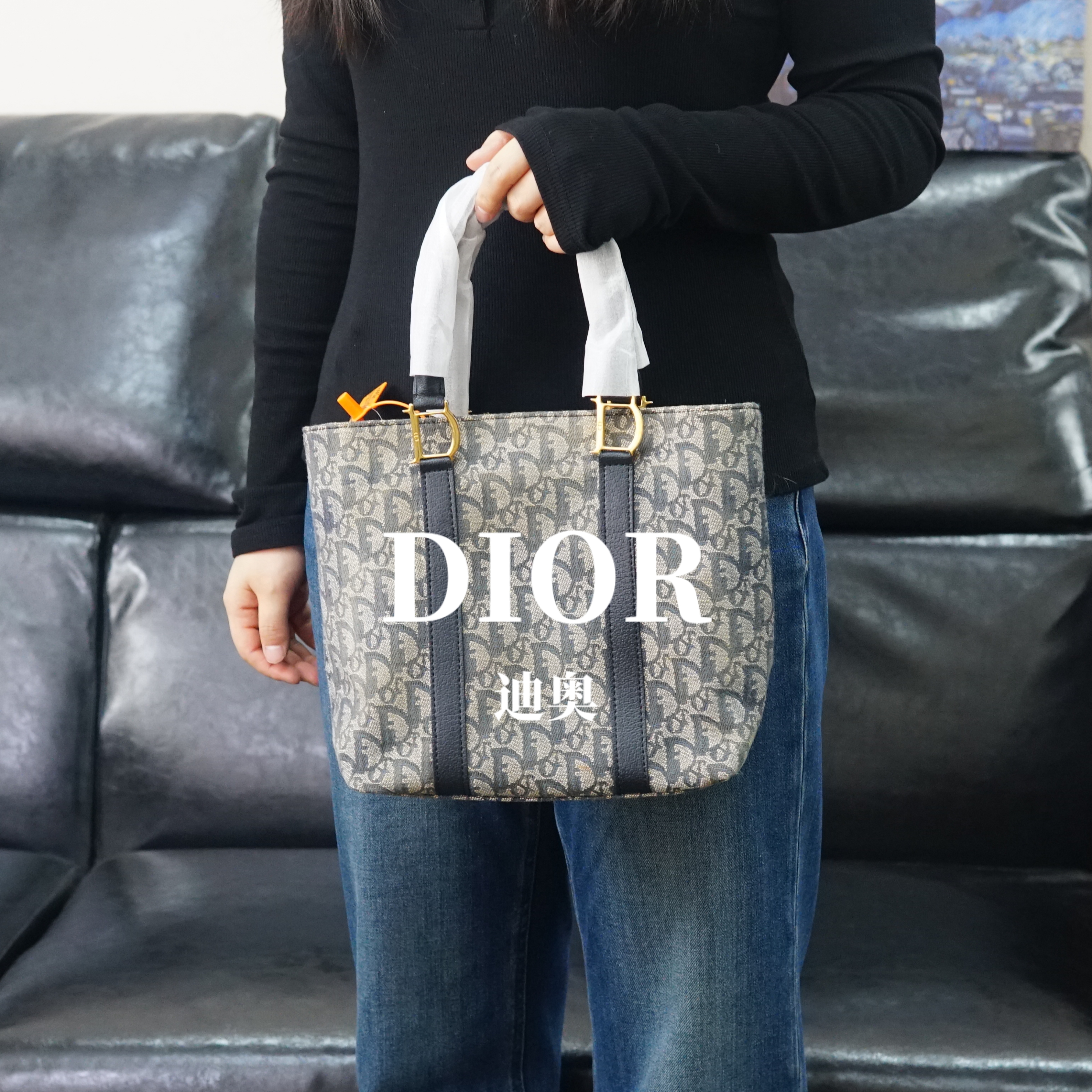 95新 DIOR/迪奥 老花单肩包/FYBB12125217/5217