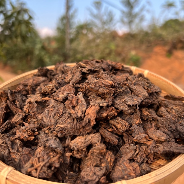 2005年那卡老茶头 熟茶