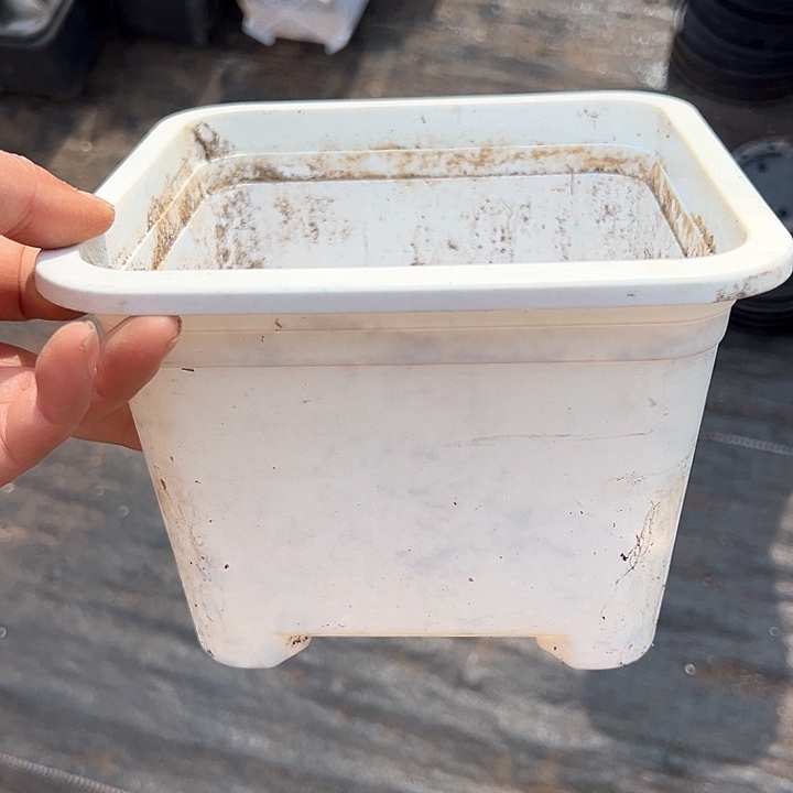 塑料口径17.5高度12白方一组10个