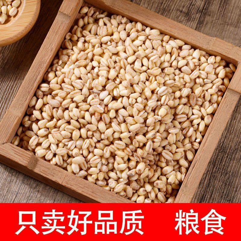 【助农专属】2025新小麦仁农家农村自产去皮可煮粥蒸饭