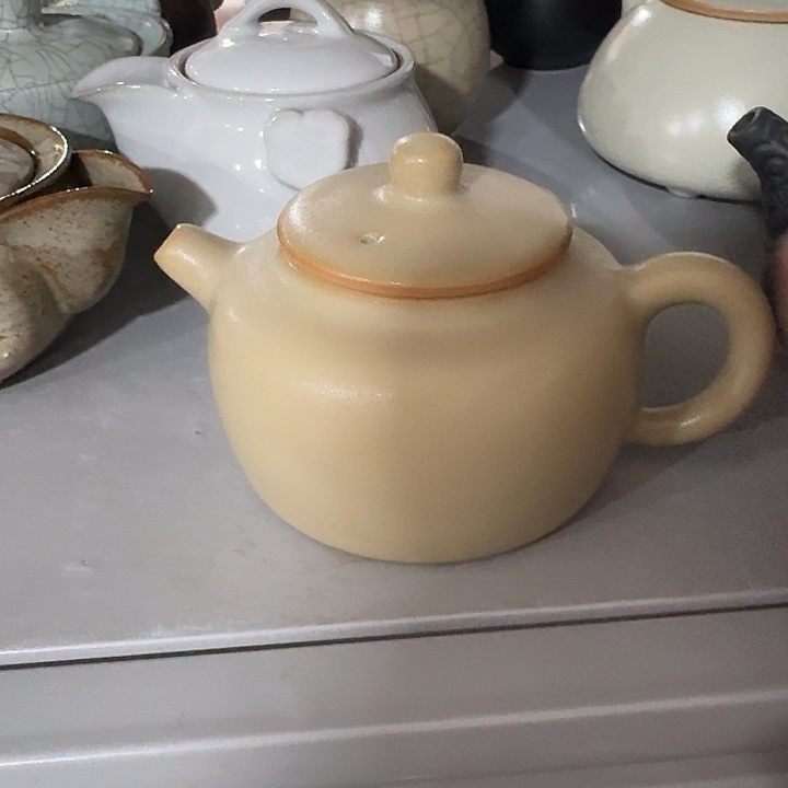 主人杯一个，瓷。。。品茗