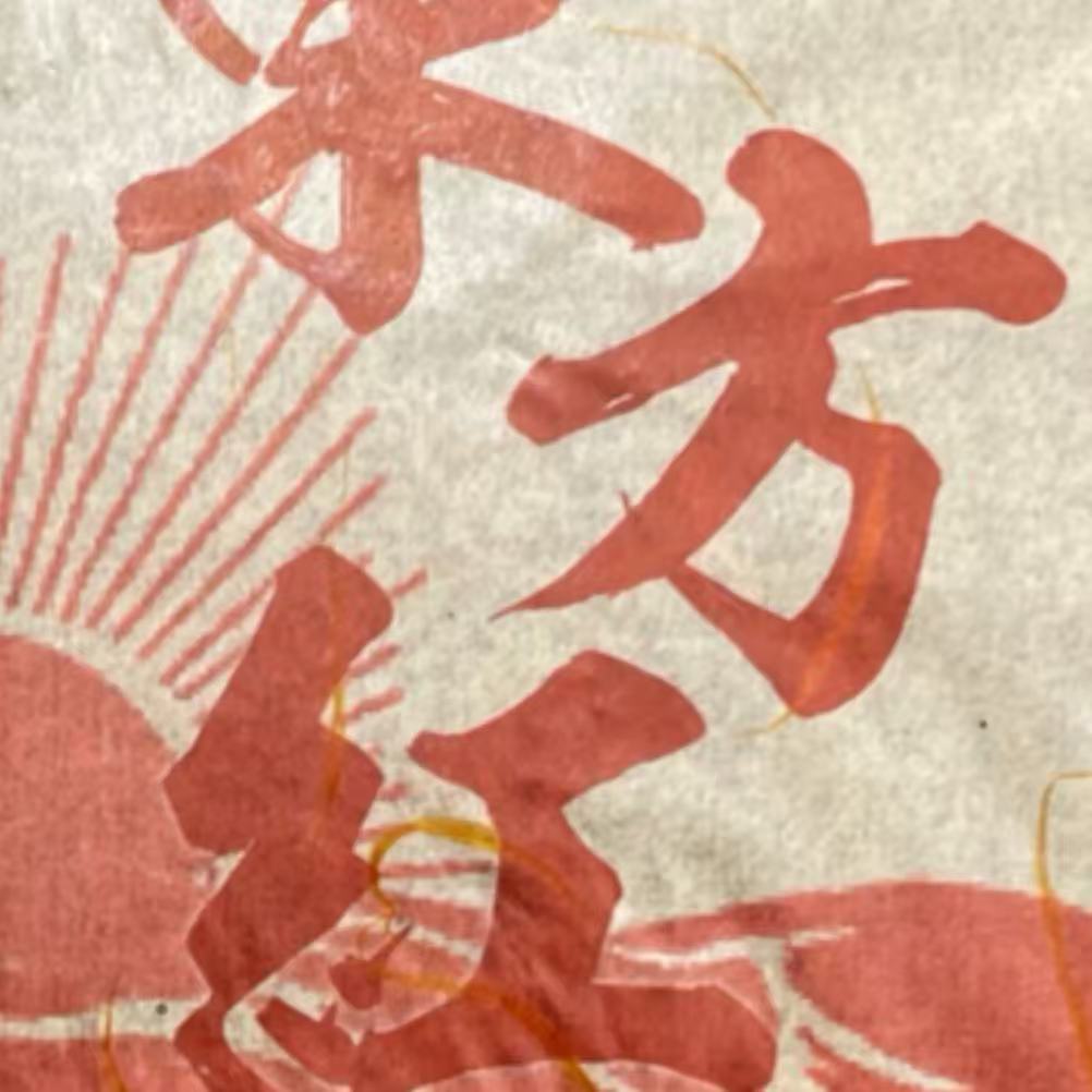 DJ 19年东方红 云南普洱茶一份