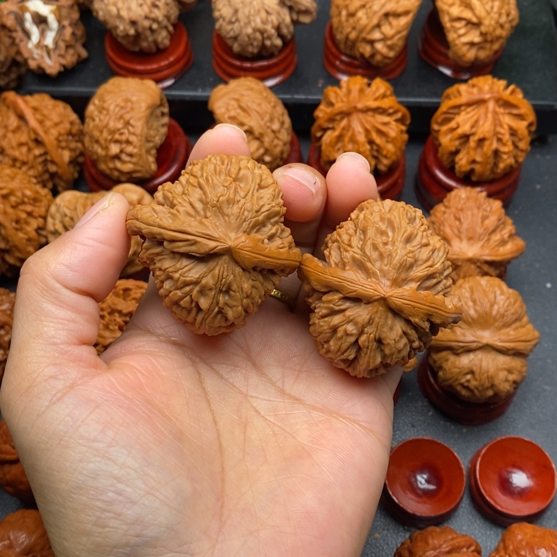 把件文玩核桃43白狮子