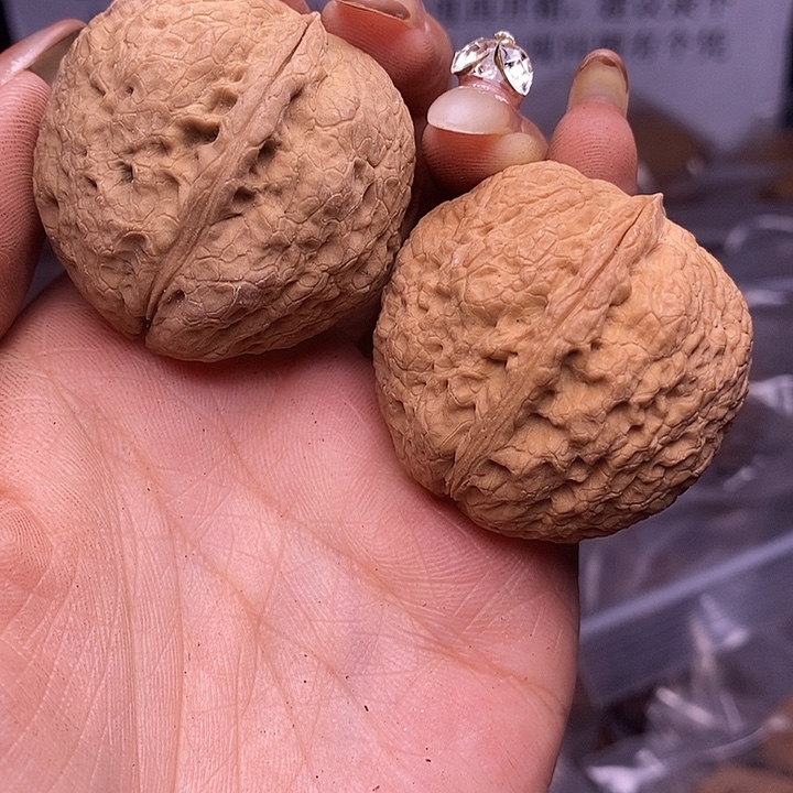 核桃云南野生铁核桃128号40mm