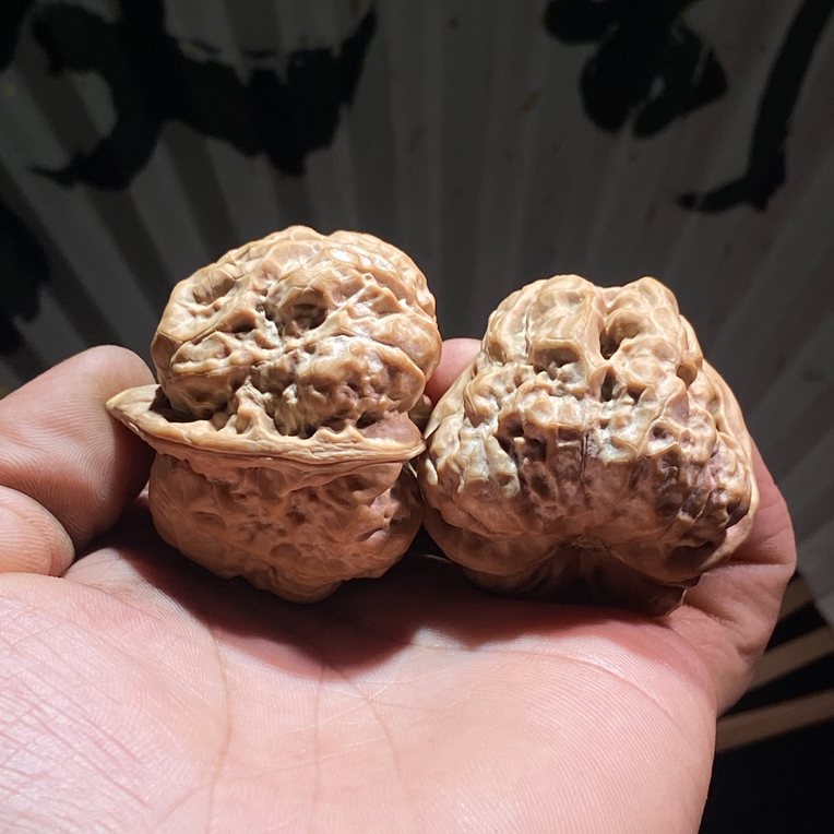 延庆金蟾蛤蟆头文玩核桃三角四开背