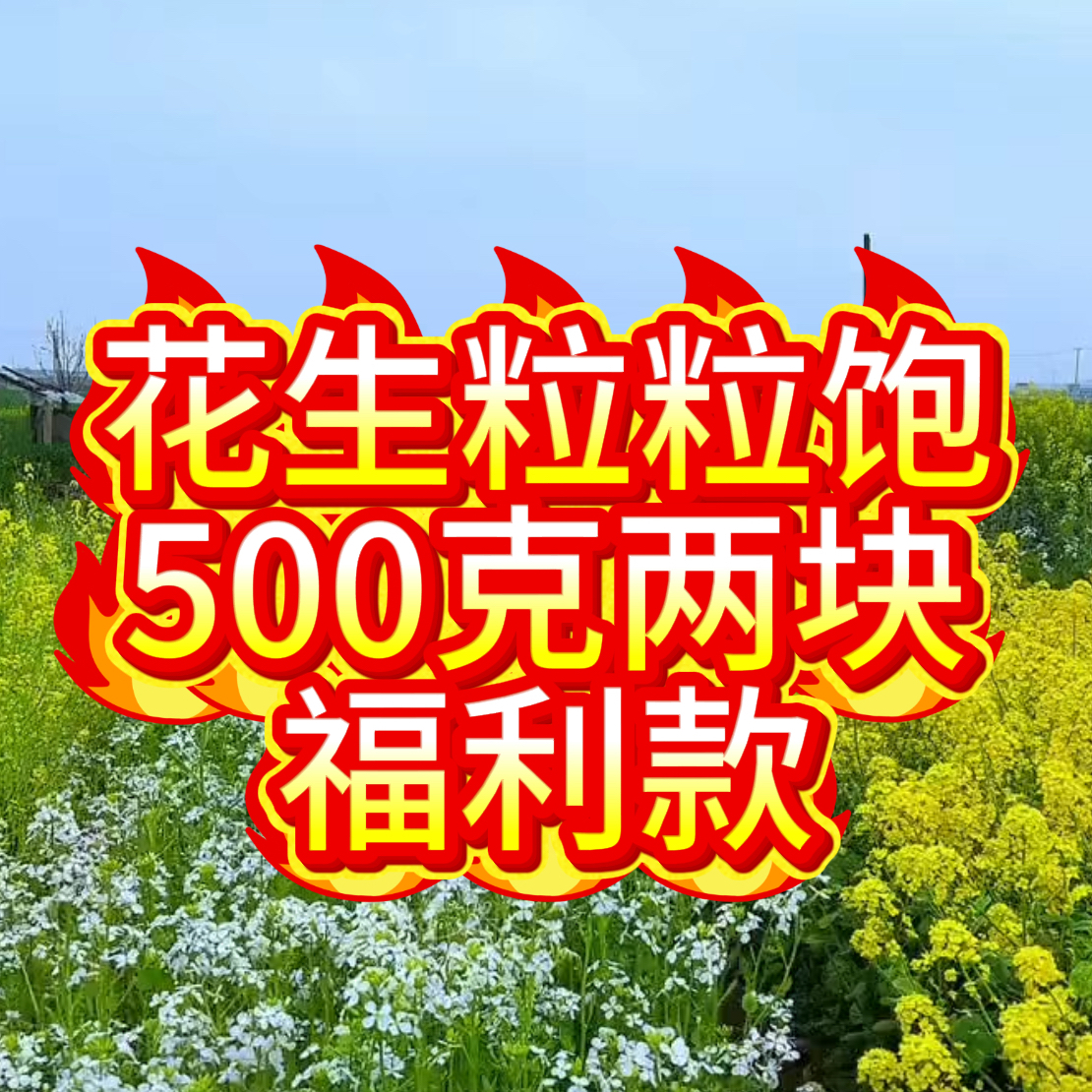 海强农资花生粒粒饱营养液福利包邮