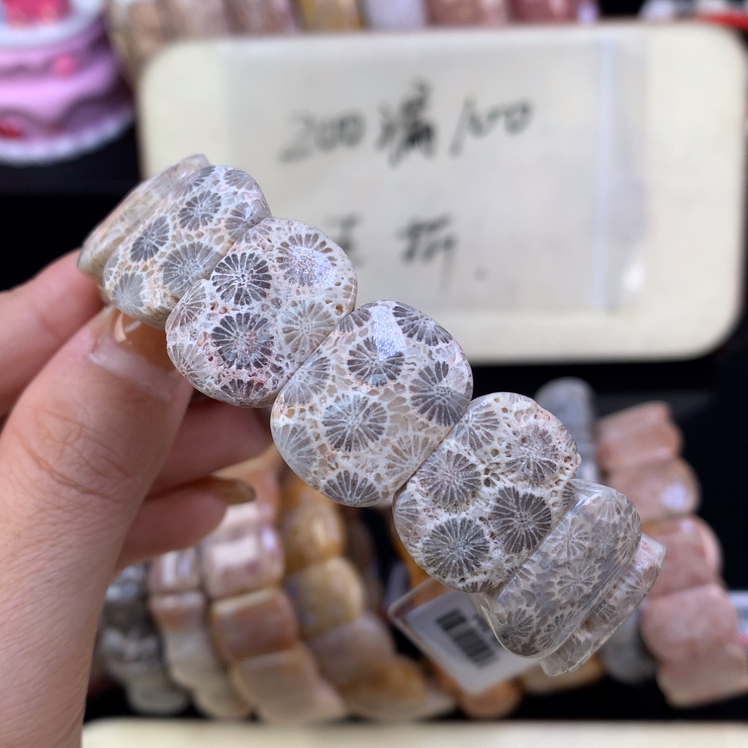 硅化珊瑚（珊瑚玉）未镶嵌吊坠(赠链)漏五折精美手牌（24号）