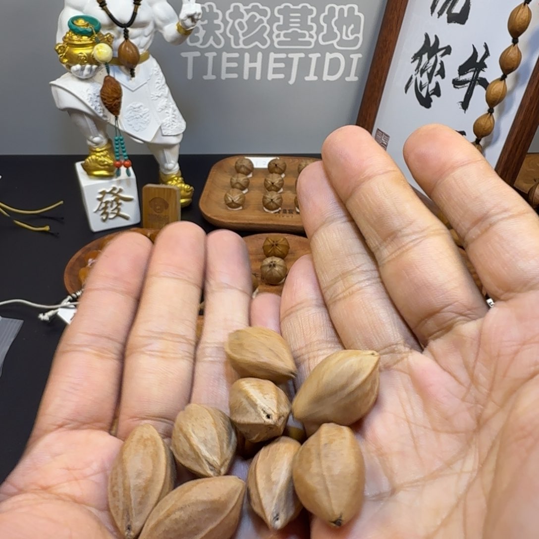 小***绿橄榄核手串/手链1526三花鲨鱼背