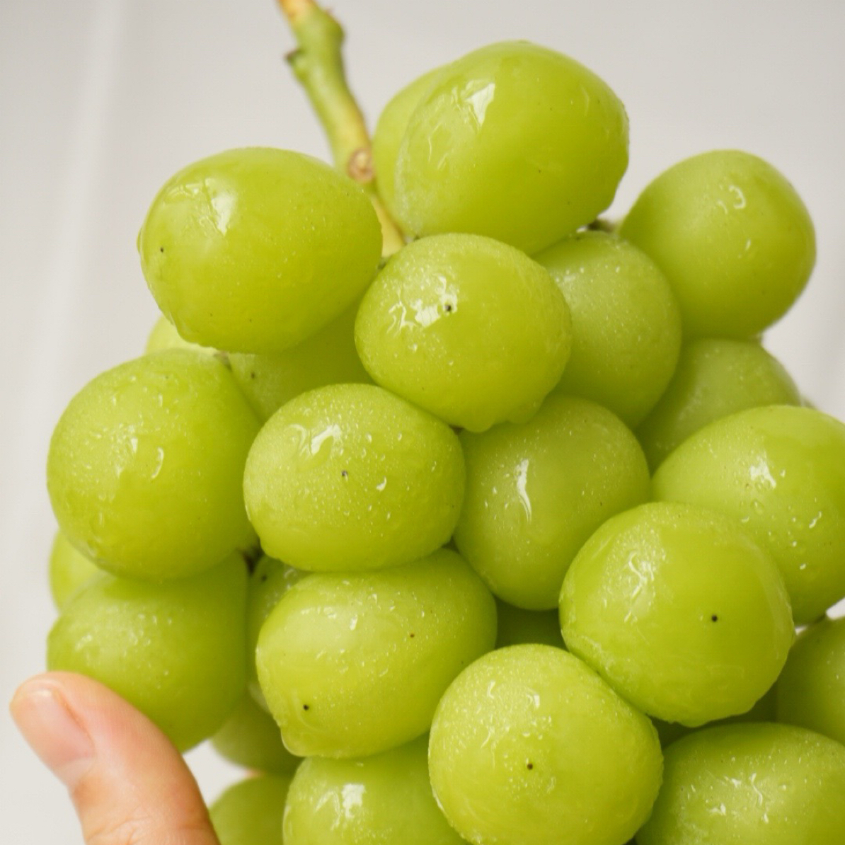 【同城配送】阳光玫瑰一盒【450g】