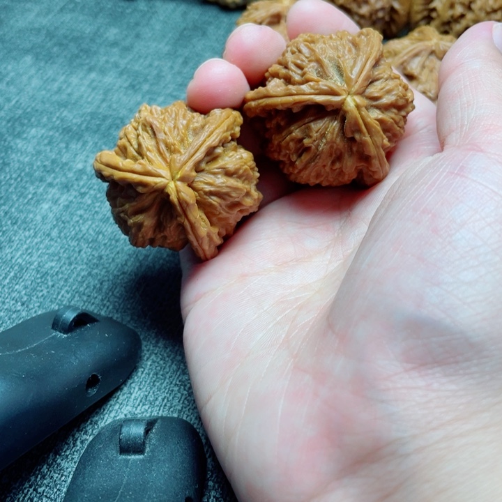手工三棱白狮子三棱