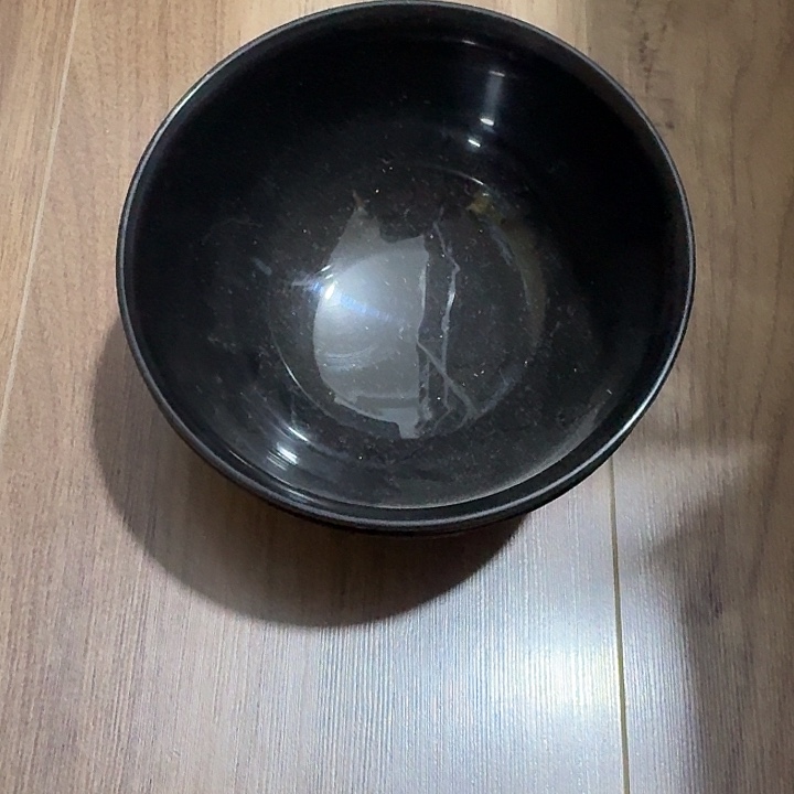 塑料这个世界上最