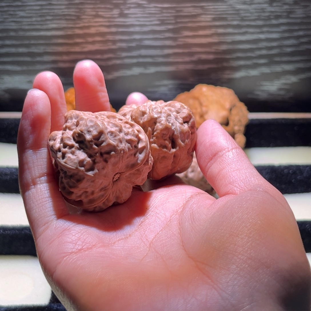 突***秃大叶紫檀（黑酸枝木类）蛤蟆