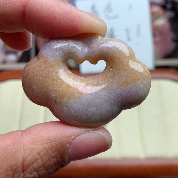 硅化珊瑚（珊瑚玉）颈饰未镶嵌