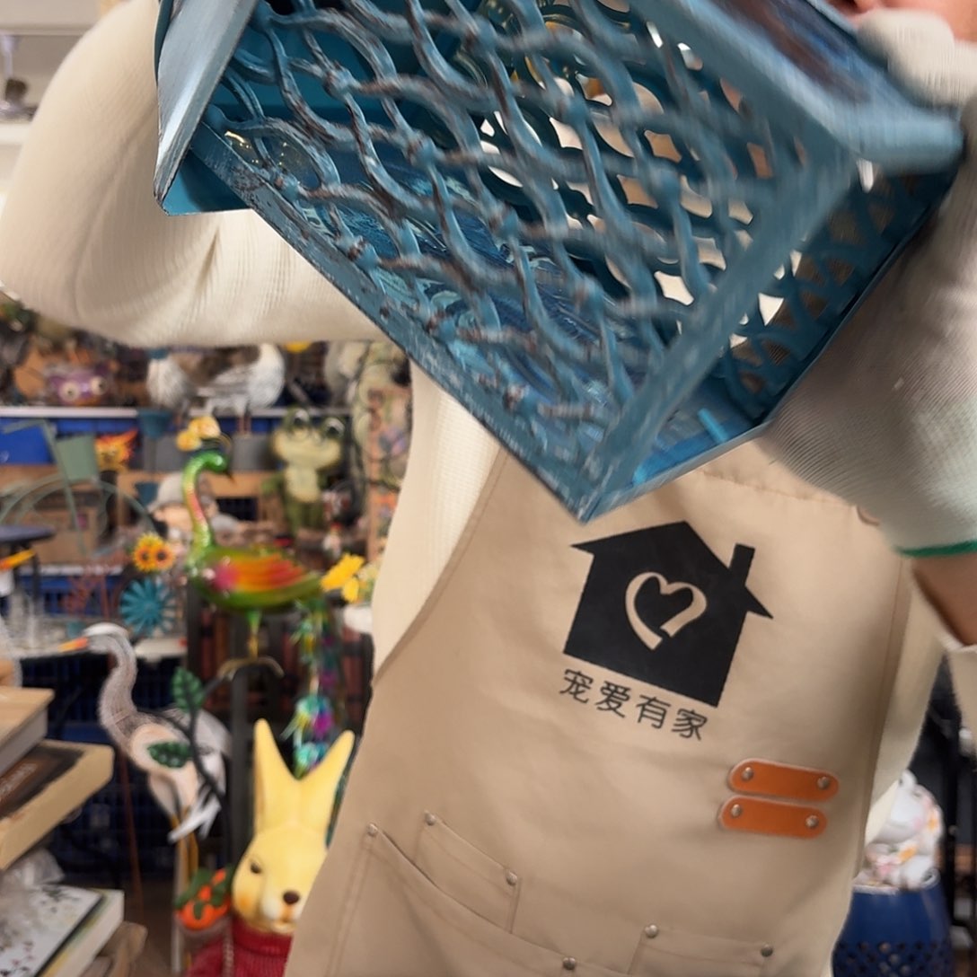 核桃木/黑胡桃（胡桃木）