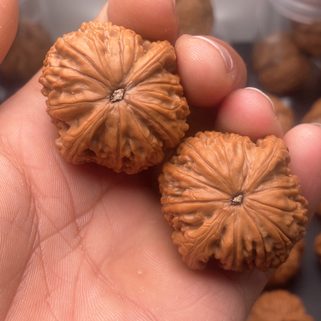 文玩核桃吊坠38蛟龙