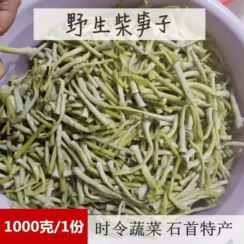 湖北荆州石首监利华容特产柴笋狄笋春芦苇笋菜笋子财笋火锅食材