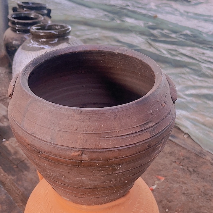 红陶001号16×16咖瑕