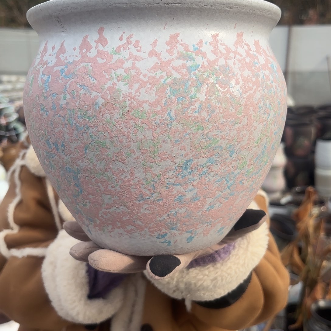 口径20高度20一个新粉福利