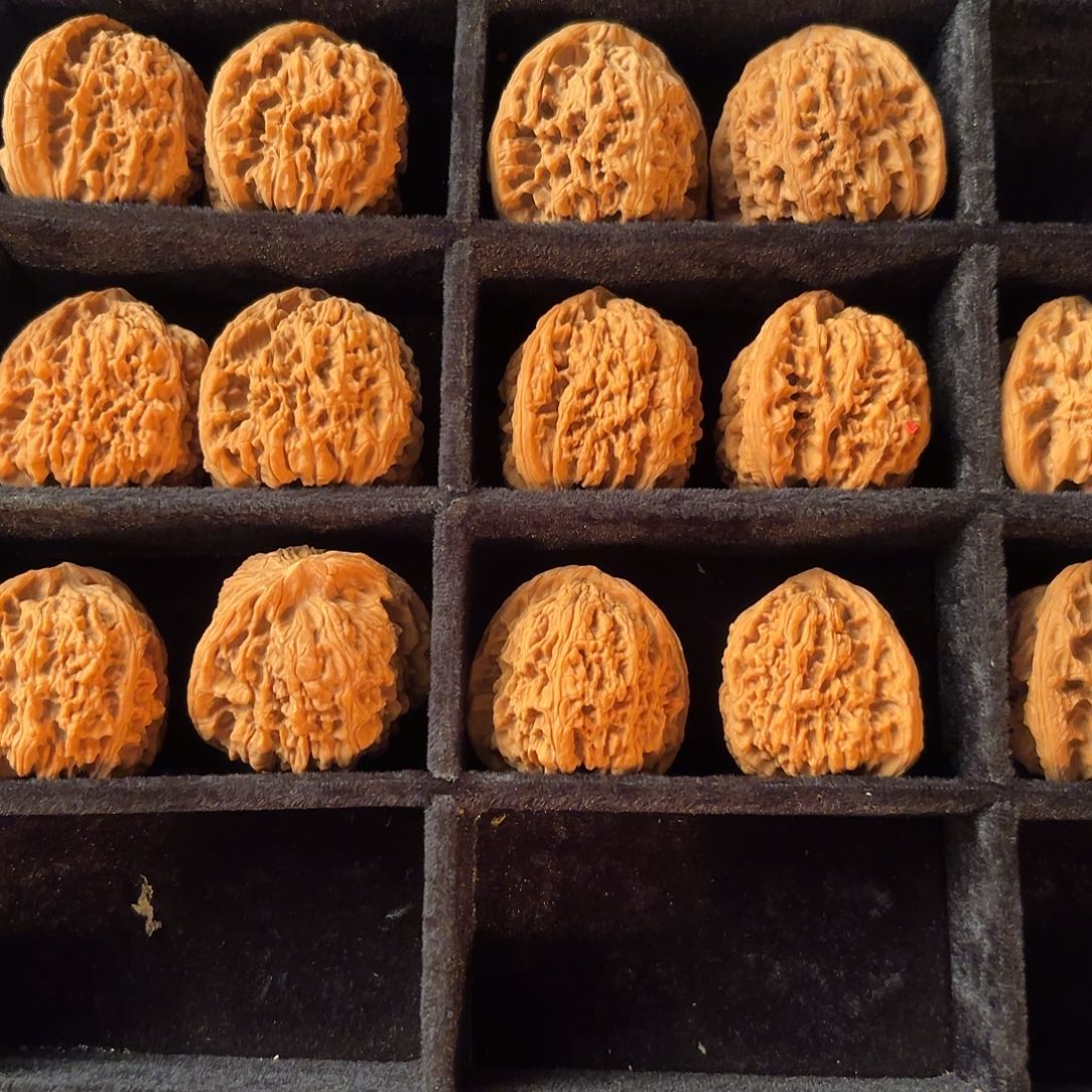 肆***核桃手串/手链5555