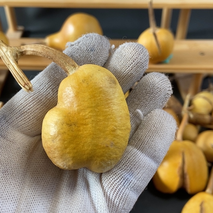 友***?葫芦葫芦真的