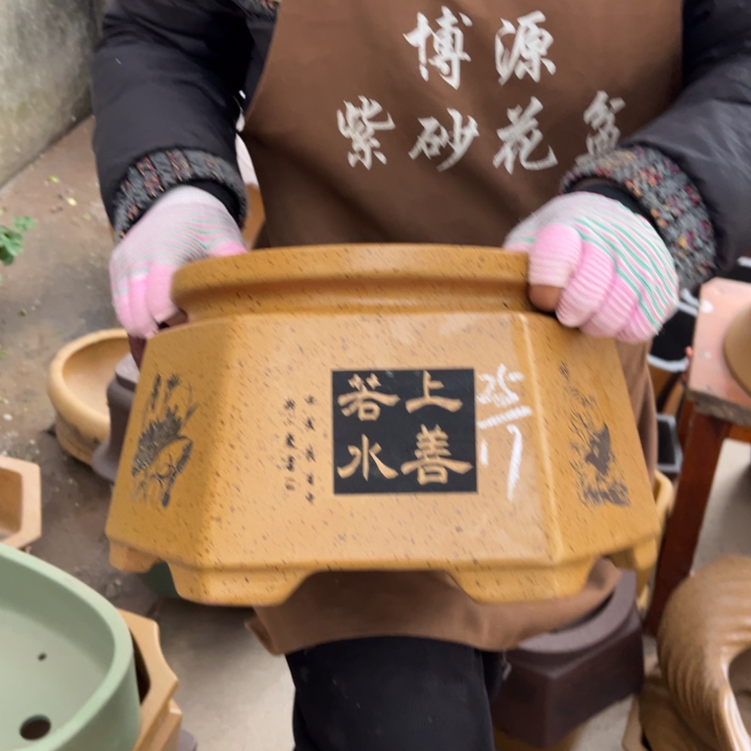 花盆紫砂盆景艺术