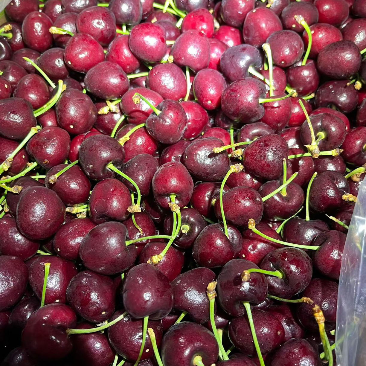 活动  1 . 3J桑提娜车厘子2斤海运 免费配送到家桑提娜智利桑提娜智利