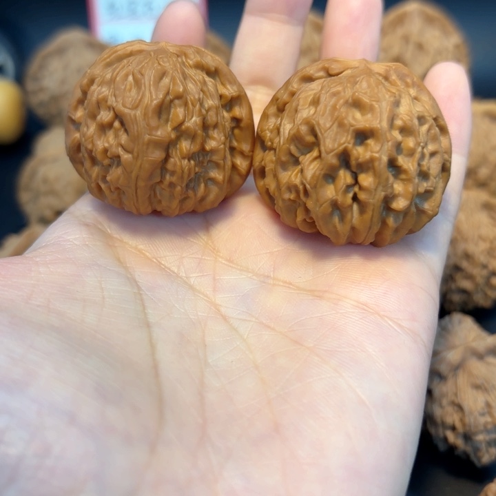 38白狮子有修打底打底